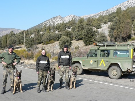 Integrantes del grupo de rescate canino, durante las maniobras en Guardo.