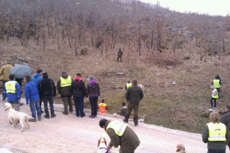 Trofeo Diputación de perros de rastreo de jabalíes.